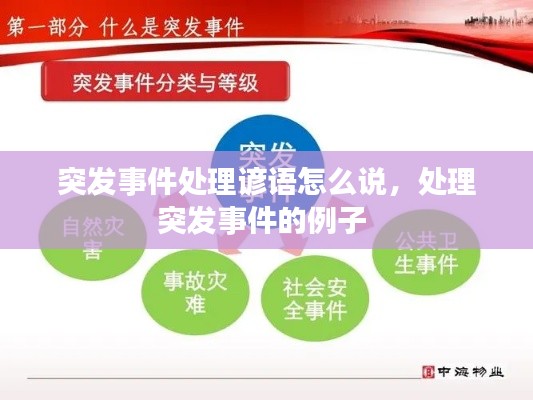 突发事件处理谚语怎么说,处理突发事件的例子