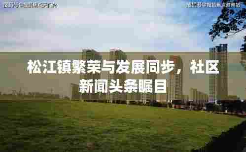 松江镇繁荣与发展同步，社区新闻头条瞩目