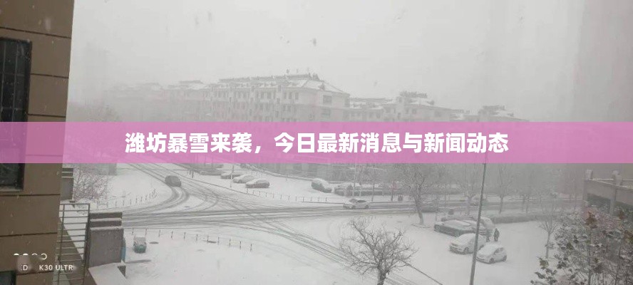 潍坊暴雪来袭,今日最新消息与新闻动态
