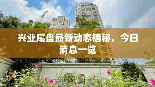 兴业尾盘最新动态揭秘,今日消息一览