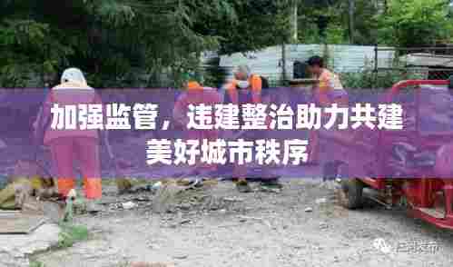 加强监管，违建整治助力共建美好城市秩序