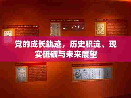 党的成长轨迹，历史积淀、现实砥砺与未来展望