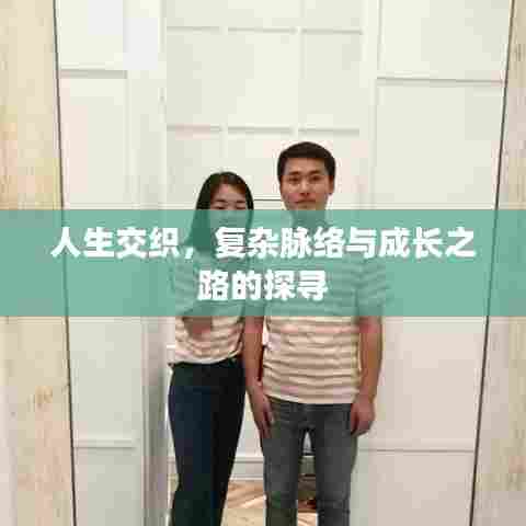 人生交织,复杂脉络与成长之路的探寻