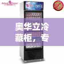 奥华立冷藏柜,专业存储解决方案,百度权威资料一次掌握