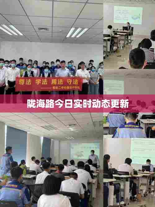 陇海路今日实时动态更新