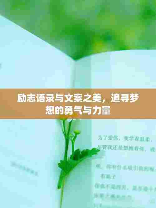 励志语录与文案之美,追寻梦想的勇气与力量