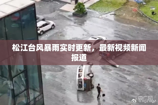 松江台风暴雨实时更新,最新视频新闻报道