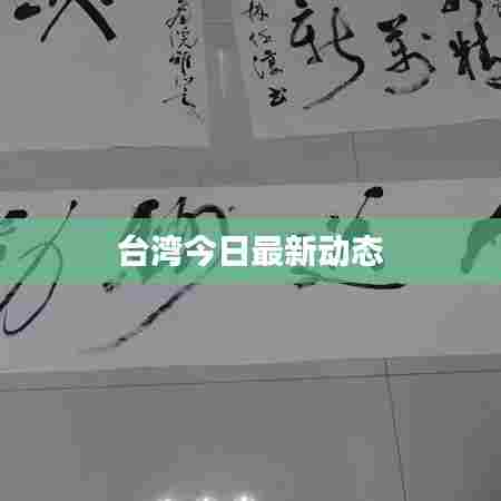 台湾今日最新动态
