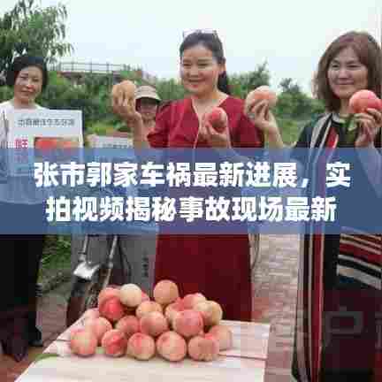 张市郭家车祸最新进展,实拍视频揭秘事故现场最新消息