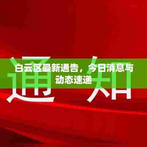 白云区最新通告，今日消息与动态速递