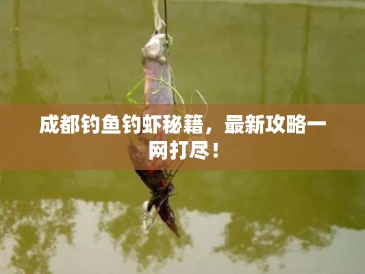 成都钓鱼钓虾秘籍,最新攻略一网打尽!