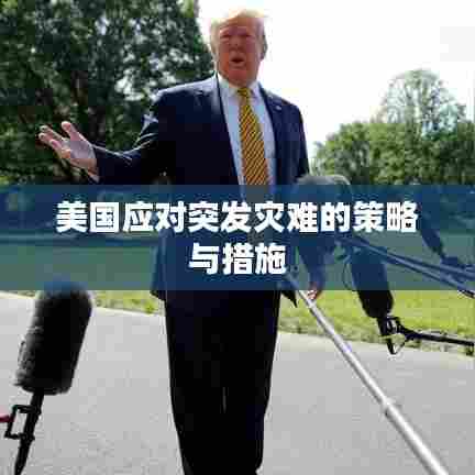 美国应对突发灾难的策略与措施