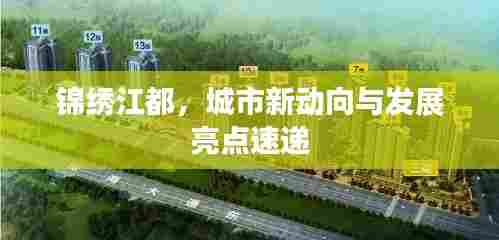 锦绣江都，城市新动向与发展亮点速递