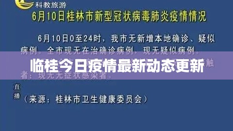 临桂今日疫情最新动态更新