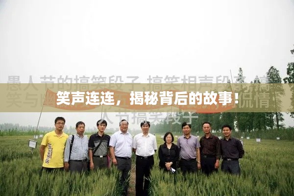 笑声连连,揭秘背后的故事!