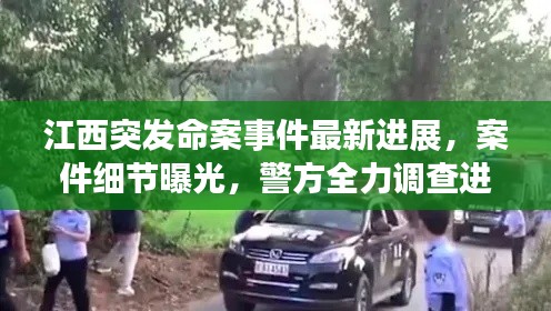 江西突发命案事件最新进展，案件细节曝光，警方全力调查进展迅速