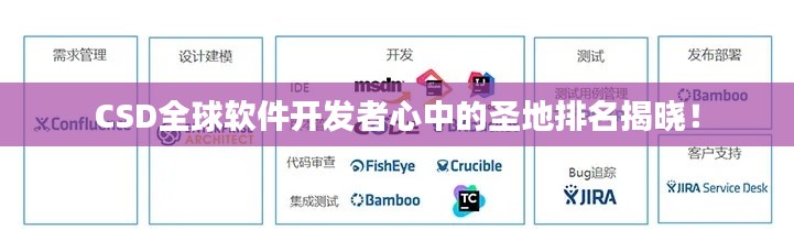 CSD全球软件开发者心中的圣地排名揭晓!
