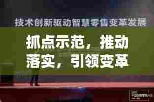 抓点示范,推动落实,引领变革的关键讲话