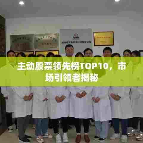主动股票领先榜TOP10,市场引领者揭秘