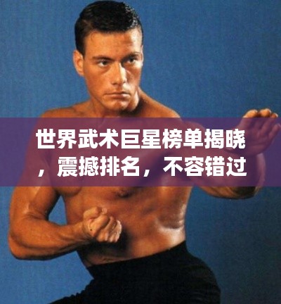 世界武术巨星榜单揭晓,震撼排名,不容错过!