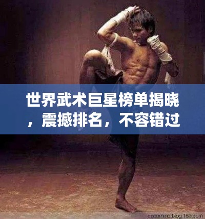 世界武术巨星榜单揭晓,震撼排名,不容错过!