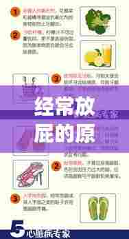 经常放屁的原因解析与改善建议,健康小常识必知