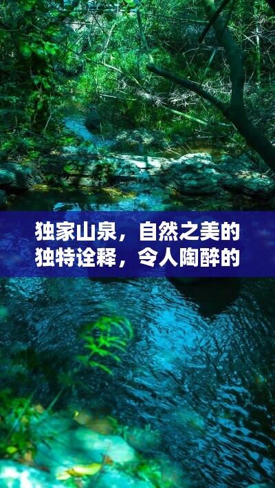 独家山泉，自然之美的独特诠释，令人陶醉的清泉秘境