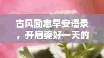 古风励志早安语录,开启美好一天的能量语句