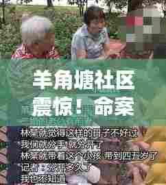 羊角塘社区震惊!命案细节逐渐揭晓