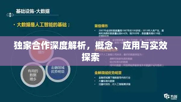 独家合作深度解析，概念、应用与实效探索