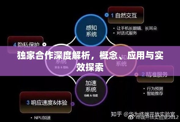 独家合作深度解析,概念、应用与实效探索