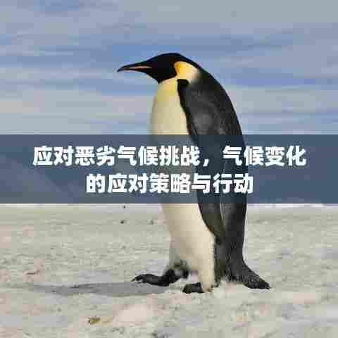 应对恶劣气候挑战,气候变化的应对策略与行动