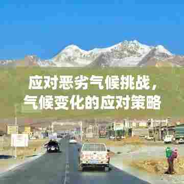 应对恶劣气候挑战,气候变化的应对策略与行动