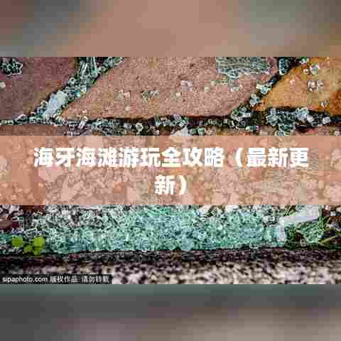 海牙海滩游玩全攻略（最新更新）