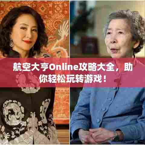 航空大亨Online攻略大全,助你轻松玩转游戏!