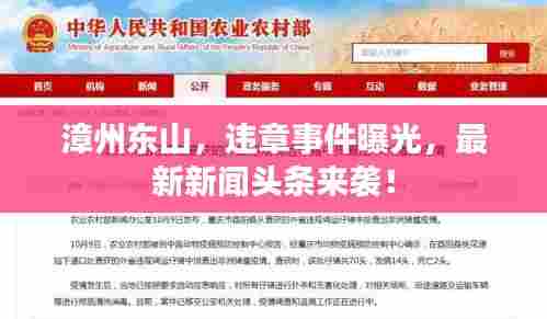 漳州东山,违章事件曝光,最新新闻头条来袭!