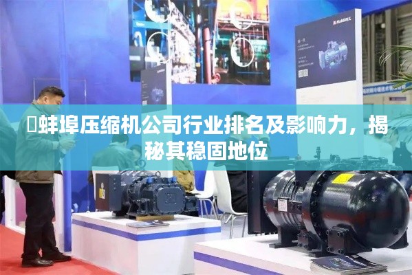 蚌埠压缩机公司行业排名及影响力,揭秘其稳固地位