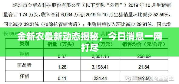 金新农最新动态揭秘,今日消息一网打尽