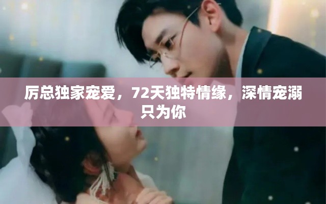厉总独家宠爱,72天独特情缘,深情宠溺只为你