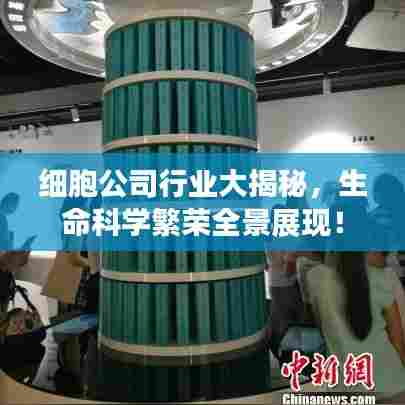 细胞公司行业大揭秘,生命科学繁荣全景展现!