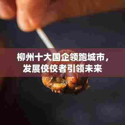 柳州十大国企领跑城市,发展佼佼者引领未来