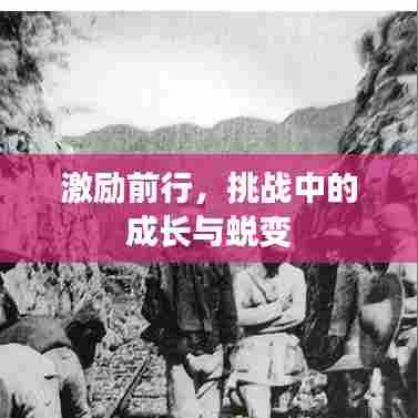 激励前行,挑战中的成长与蜕变