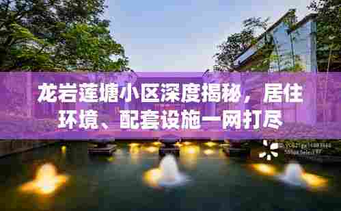 龙岩莲塘小区深度揭秘，居住环境、配套设施一网打尽