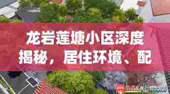 龙岩莲塘小区深度揭秘,居住环境、配套设施一网打尽