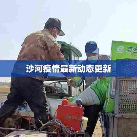 沙河疫情最新动态更新