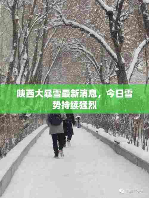 陕西大暴雪最新消息,今日雪势持续猛烈