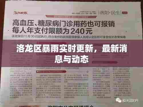 金石为开 第6页