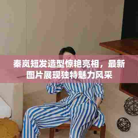 秦岚短发造型惊艳亮相,最新图片展现独特魅力风采