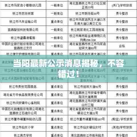 当阳最新公示消息揭秘，不容错过！