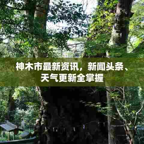 神木市最新资讯,新闻头条、天气更新全掌握